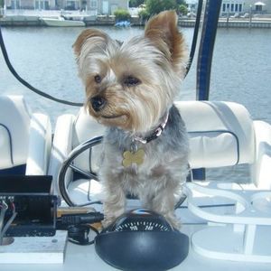 Meet your Posher, Timothy